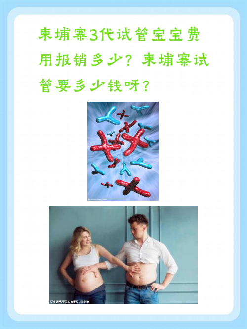 柬埔寨3代试管宝宝费用报销多少？柬埔寨试管要多少钱呀？