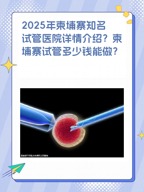 2025年柬埔寨有名气试管医院详情介绍？柬埔寨试管多少钱能做？