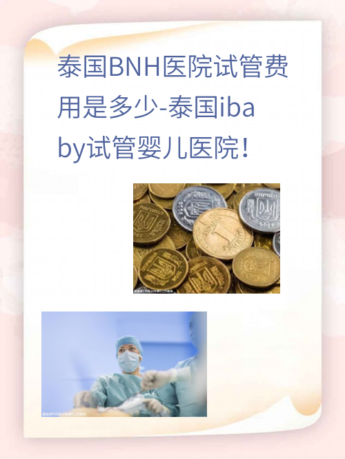 泰国BNH医院试管费用是多少-泰国ibaby试管婴儿医院！