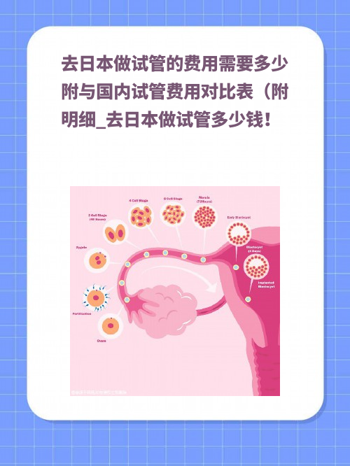 去日本做试管的费用需要多少附与国内试管费用对比表（附明细_去日本做试管多少钱！