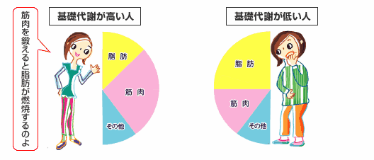 基础代谢率