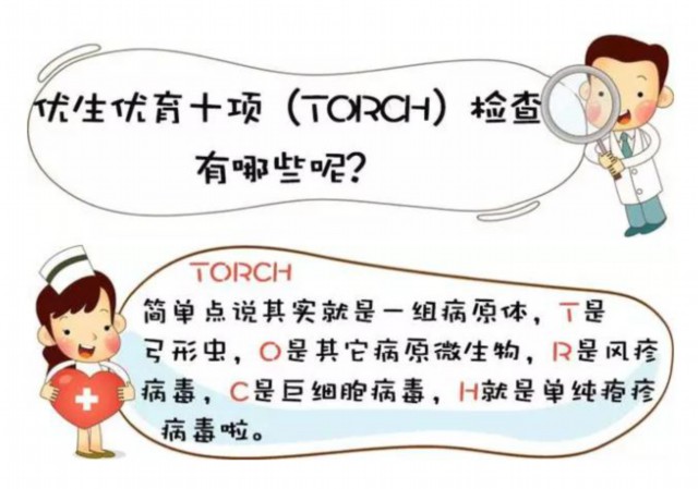 torch检查