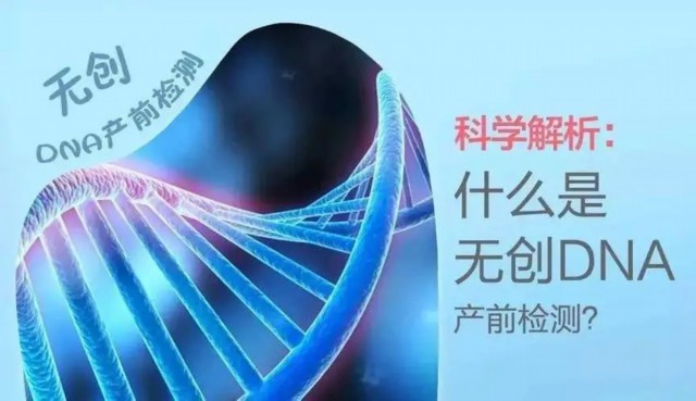 无创DNA