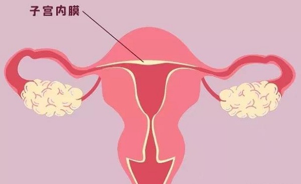 做二代试管培育了13个囊胚成功的几率高吗？