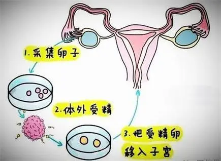 2025年拉拉去深圳恒生医院做三代试管生孩子可以吗？有多少的成功率