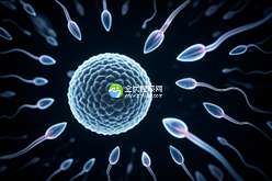 三亚试管婴儿生多胞胎全解析，从费用到流程，2025年最新指南