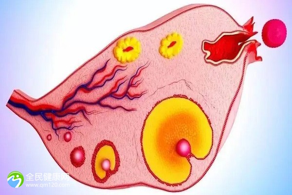 二代试管取精子要穿刺吗？