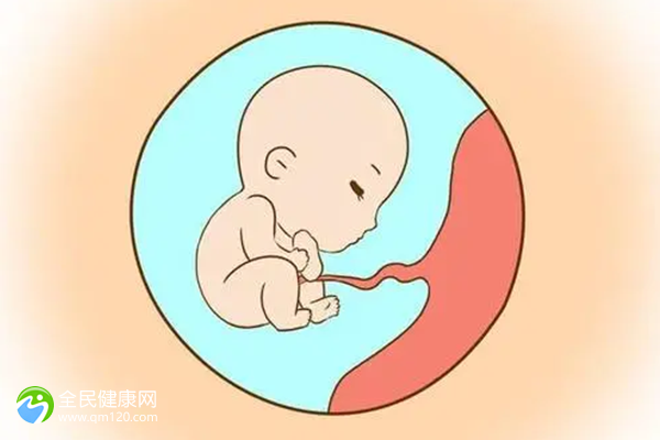 残角子宫可以试管双胎吗？