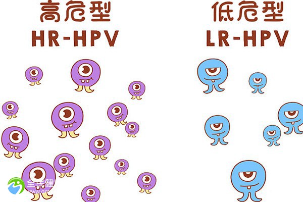 感染hpv可以做试管婴儿吗？