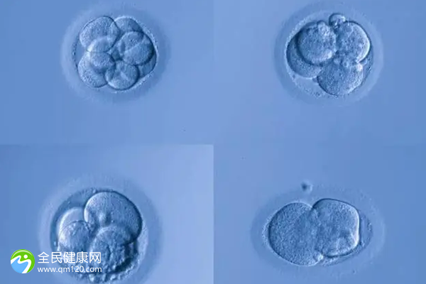 邯郸三代试管比较好的私人医院哪里好