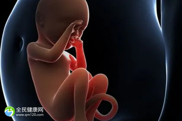 精子浓度百分之3只能试管吗？