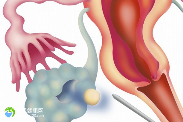 丽水私立试管医院有哪些