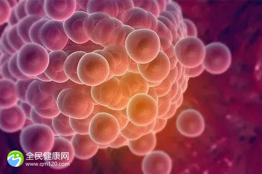 刚做完乳腺微创可以试管吗？