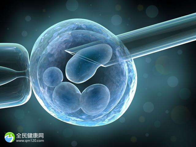 冻胚是不是没有囊胚质量好？掌握一个方法明白胚胎等级