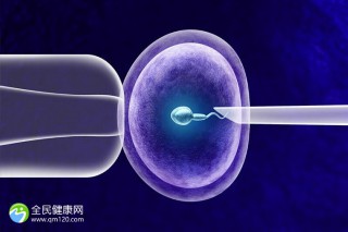 一個卵泡懷孕幾率大不大數量少懷不上並非肯定