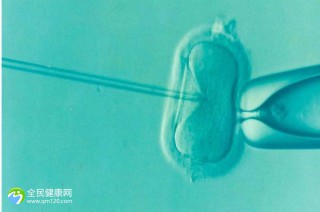 hpv66感染能做试管移植吗？