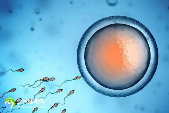 胚胎细胞等级g2可以吗？