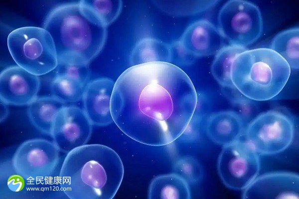 剖宫产后多久可以用收腹带？多久可以用、绑多久全解读