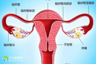 女性试管宫腔粘连能怀上孩子吗？