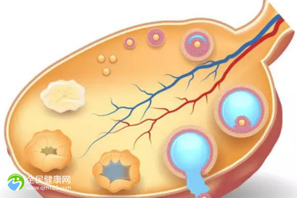 试管太胖是不是会移植失败？