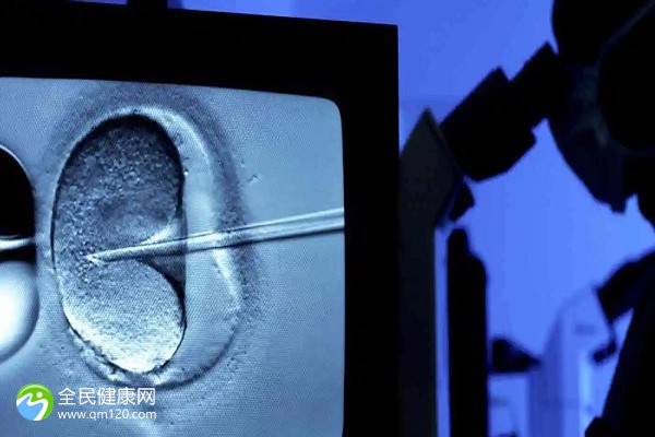 试管一代鲜胚能放几个囊胚？