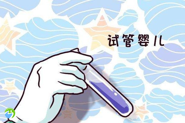 子宫内膜息术后做试管多少钱？