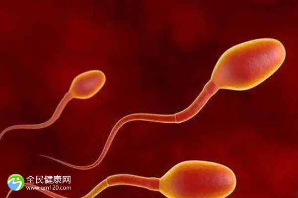 中国单身做试管婴儿有多少？