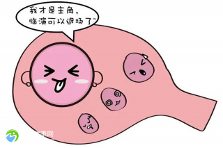 美国芳泉谷医院基本资料，芳泉谷医院生产的入院流程