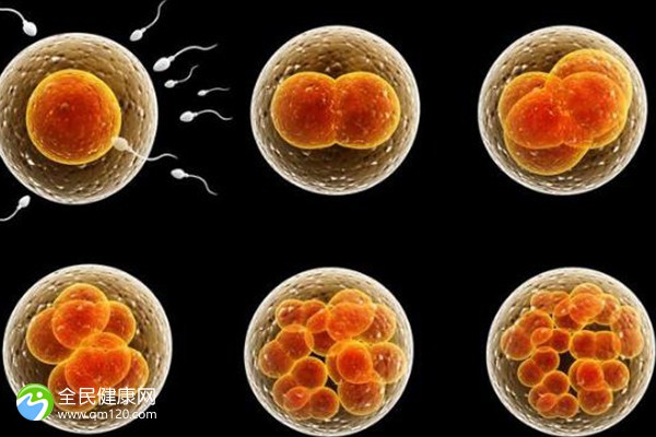 试管胚胎一般移几个到子宫？