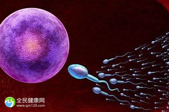 试管4bc的囊胚和优胚哪个好？