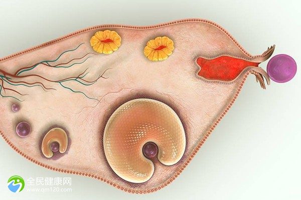 济宁医学院试管失败率高吗？