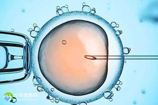国内试管婴儿哪家医院好啊 国内试管婴儿哪家医院好啊