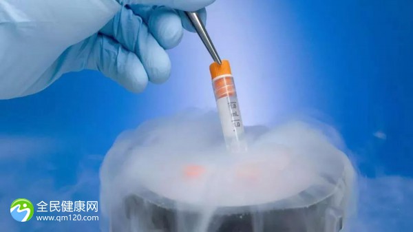 试管鲜胚移植没成功率高吗？