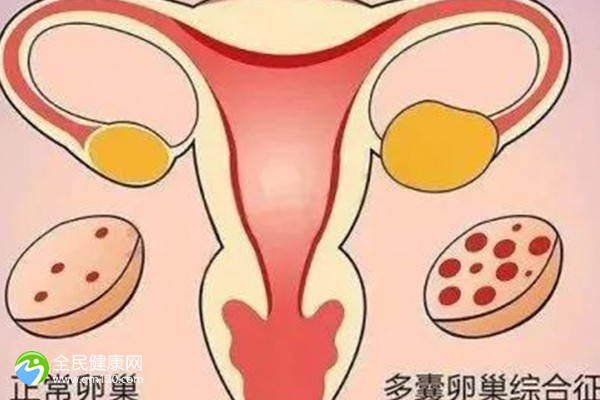 2024延边试管婴儿医院排名，延边试管婴儿医院哪家好？