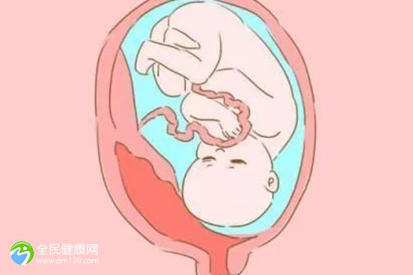 江苏做试管婴儿私立医院好(试管婴儿江苏哪家好)