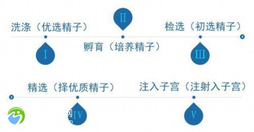 试管保存移植什么流程啊？