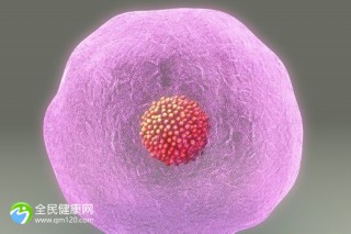 精子不好做试管成功率高吗