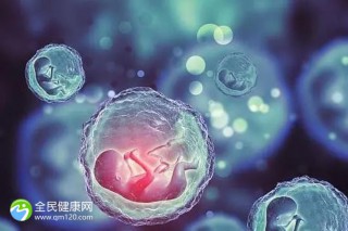 试管婴儿报销政策是什么？