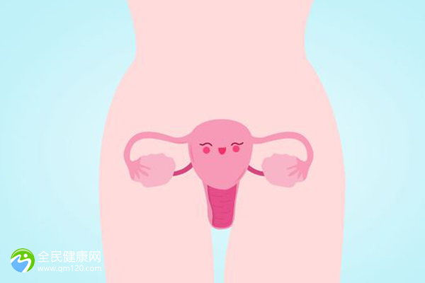 试管促排卵可以移植几次囊胚？