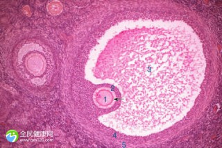 在江苏哪家做试管比较好的医院？江苏做试管婴儿比较好的医院