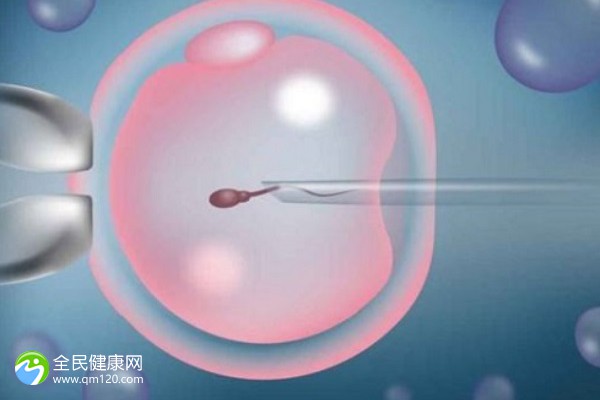 北京试管助孕婴儿-北京试管多少钱