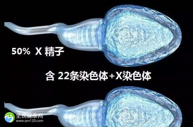 天津做第三代试管的要求 天津三甲医院试管婴儿哪家好