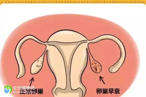 梧州做试管可以报销吗？