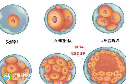 天津试管婴儿哪儿做好：天津试管婴儿哪儿做好些