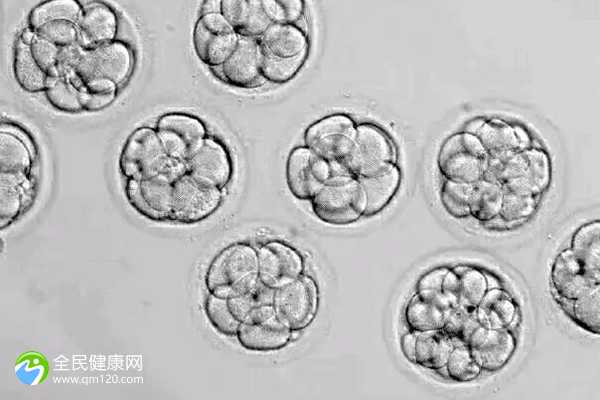 北京试管报销失败原因分析？