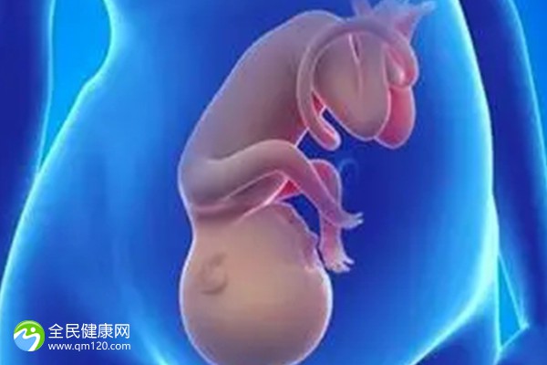 天津哪里能做三代试管婴儿的医院？