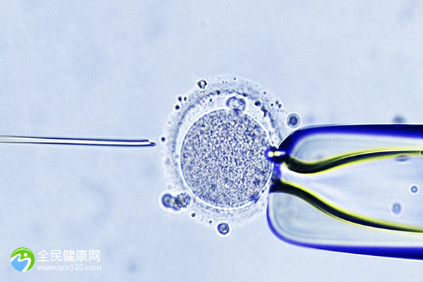 要做试管只有5个卵泡怎么办？