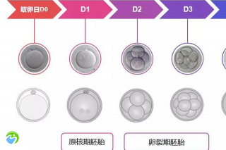 武汉哪个医院做试管婴儿比较好