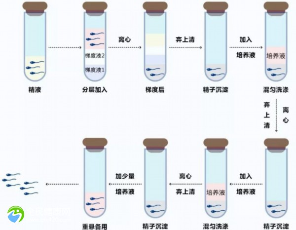 一胎试管受孕二胎试管成功率高吗？