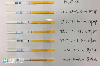 抗hcg阳性可以做试管吗？